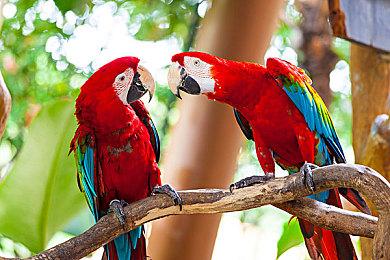 另一种经典 《寂静岭：起源》PS2未发行版本视频泄露